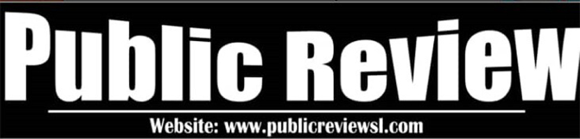 public review logo